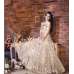 Gorgeous Beige Net Anarkali Dress Indian Maxi